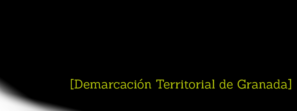 Granada constituye su demarcación territorial, presidida por José Antonio Barrionuevo