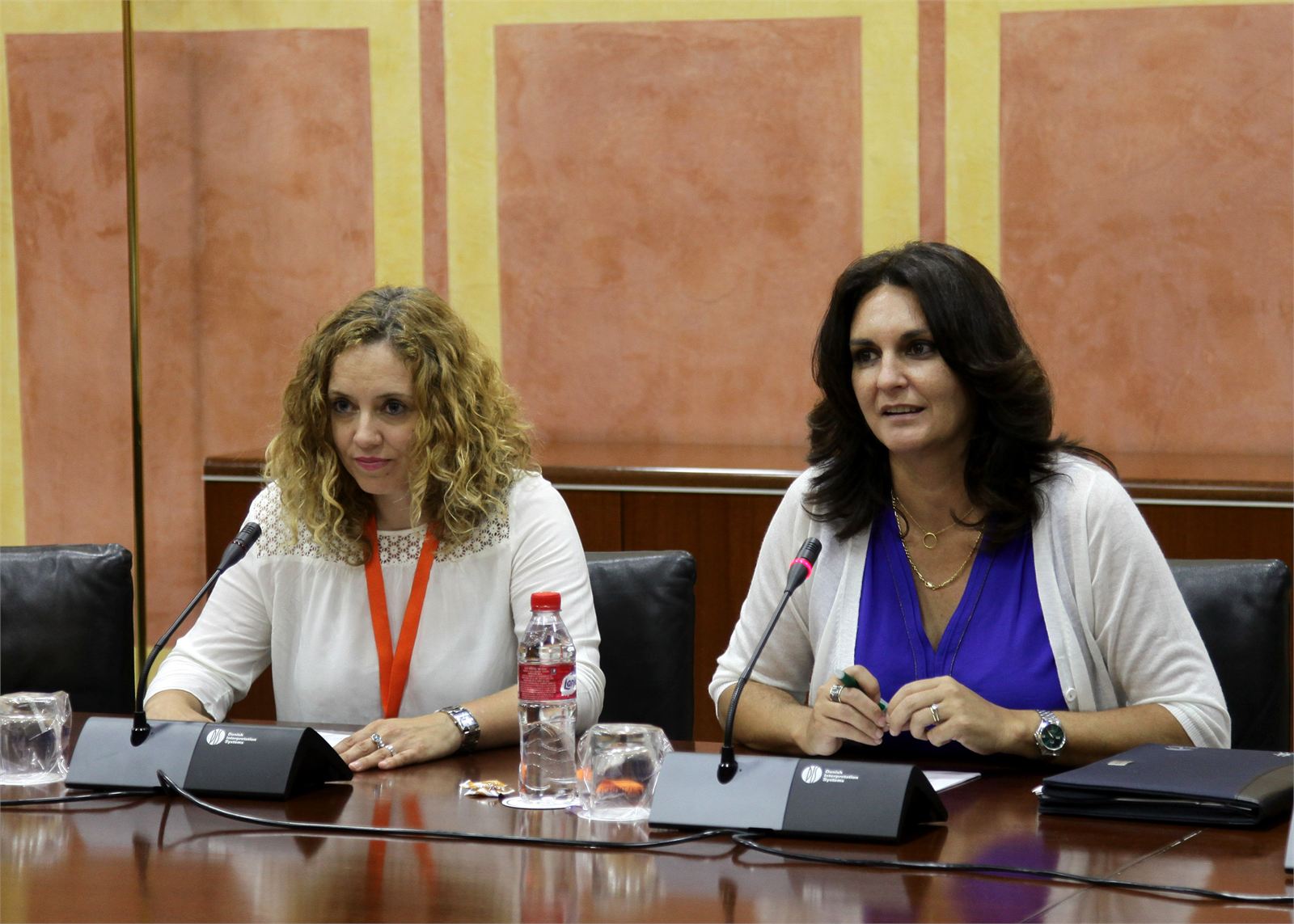 El Colegio exige que la ley electoral andaluza proteja la independencia de los periodistas, ponga fin a los bloques electorales e incorpore el criterio de estos profesionales a las decisiones de la Junta Electoral