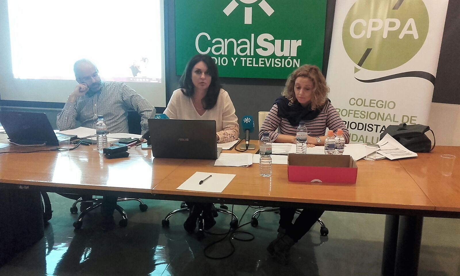 La Asamblea del CPPA aprueba las bases del Registro de Medios Digitales en Andalucía