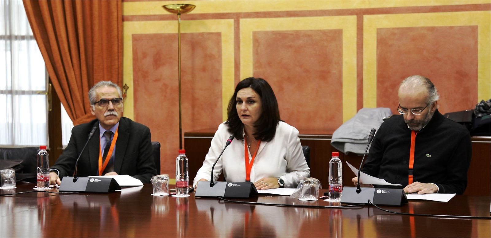 La nueva ley audiovisual en Andalucía debe definir con claridad al profesional de la información